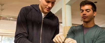 Teenagers gain medical work experience during a worshop organised by Projects Abroad in Argentina. A workshop on suturing during our Medicine internship for teenagers in Argentina.